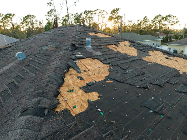 Best Roof Leak Repair  in Palacios, TX